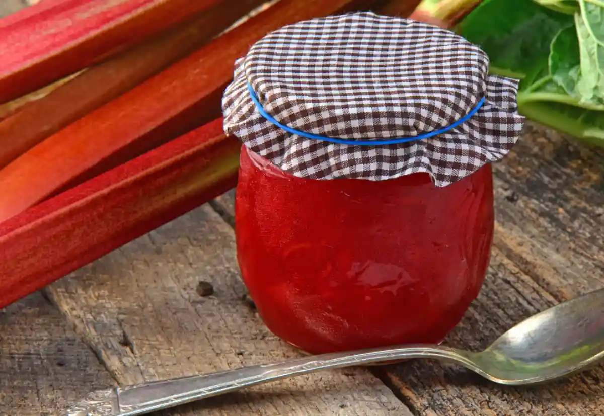 Confiture de Rhubarbe - Douceur Acidulée du Printemps
