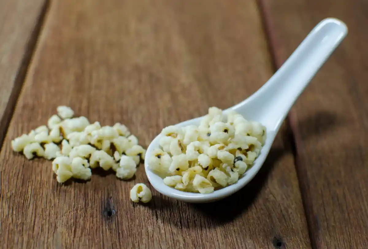 6 Recettes à base de Larmes de Job